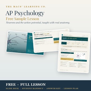 Public AP Psychology free neurons and action potential guided-notes sample cover from TPT.