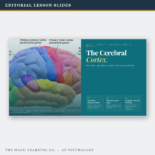 AP Psychology current product preview 3